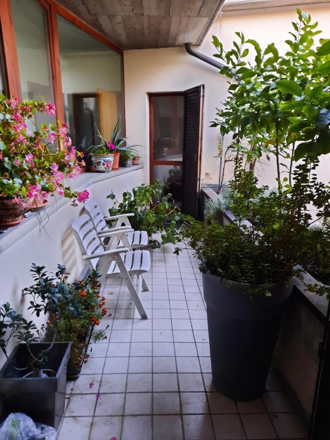 R&B Del Vicolo Bed & Breakfast เชซานา ภายนอก รูปภาพ
